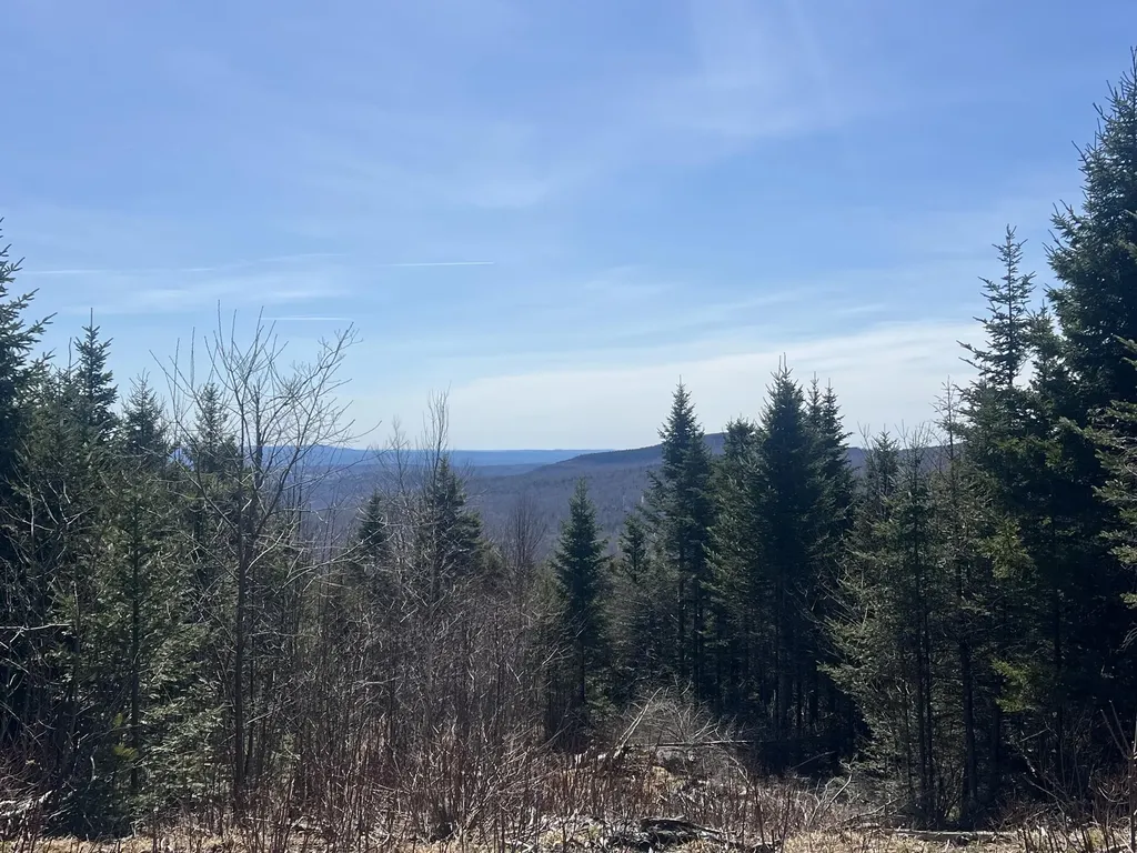 14 Moose Alley Road Temple ME 04984