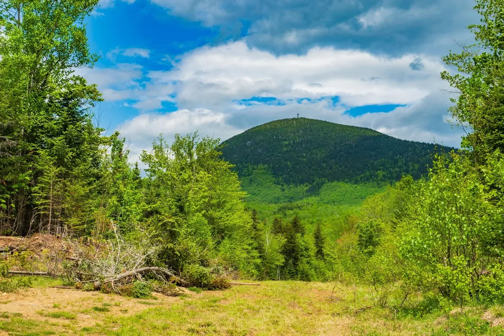 14 Moose Alley Road Temple ME 04984