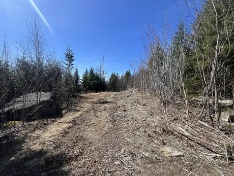 14 Moose Alley Road Temple ME 04984