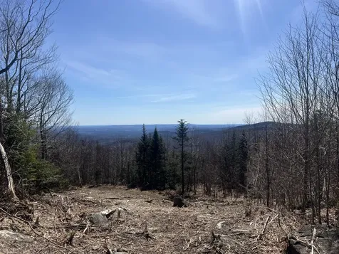 14 Moose Alley Road Temple ME 04984