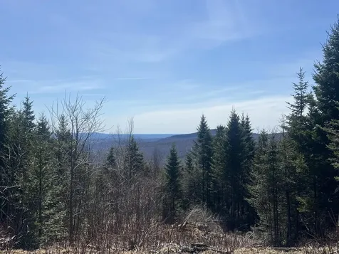 14 Moose Alley Road Temple ME 04984