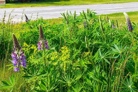 158 Wyman Road Milbridge ME 04658