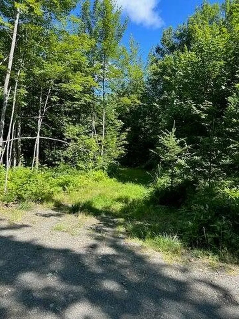 Lot 8 Winter Hill Lane Monson ME 04464
