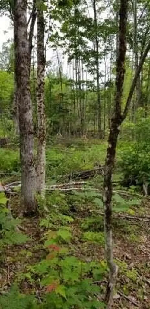 Lot 8 Winter Hill Lane Monson ME 04464