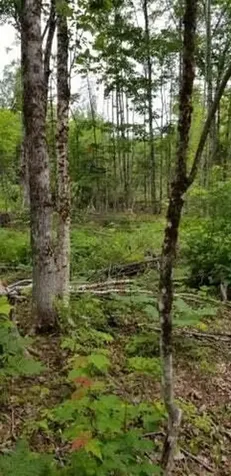 Lot 8 Winter Hill Lane Monson ME 04464