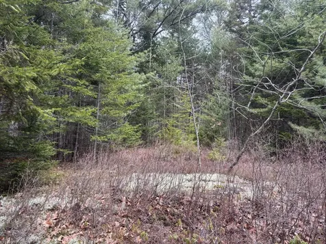 M11L17C Rogers Point Road Steuben ME 04680