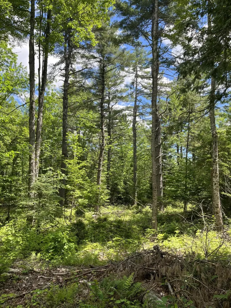 M4L3,5 Fickett Road Etna ME 04434