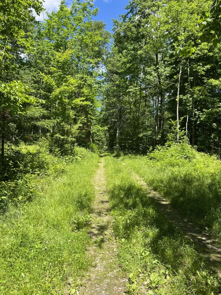 M4L3,5 Fickett Road Etna ME 04434