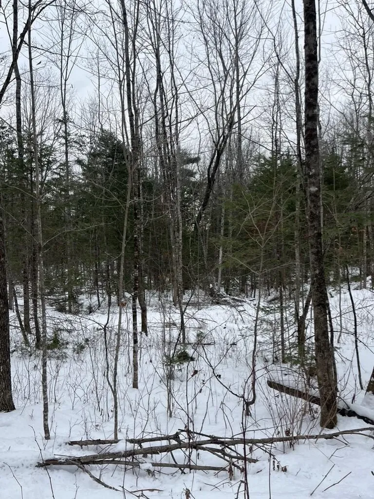 M4L3,5 Fickett Road Etna ME 04434