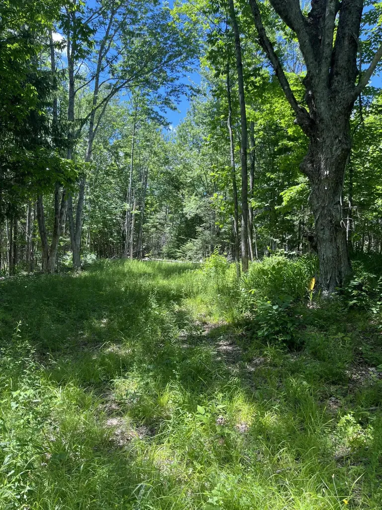 M4L3,5 Fickett Road Etna ME 04434