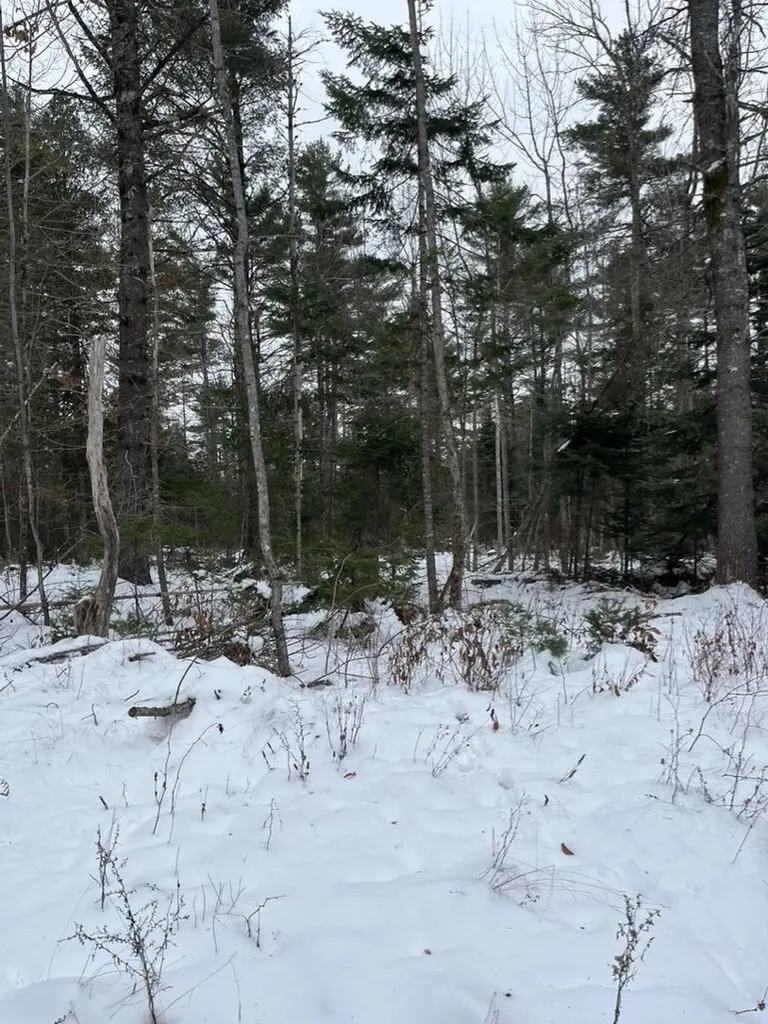 M4L3,5 Fickett Road Etna ME 04434