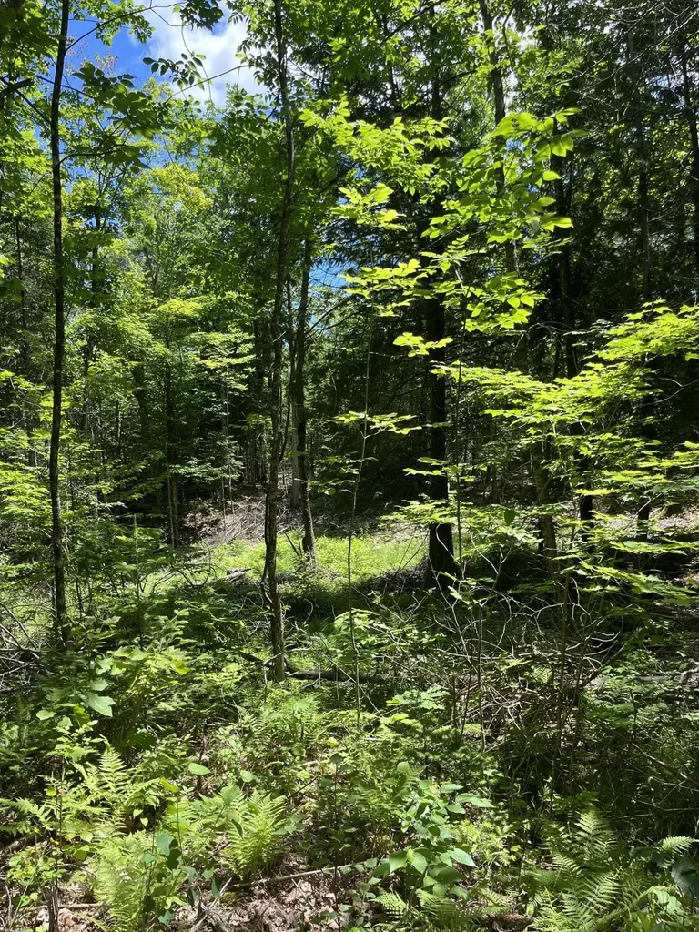 M4L3,5 Fickett Road Etna ME 04434