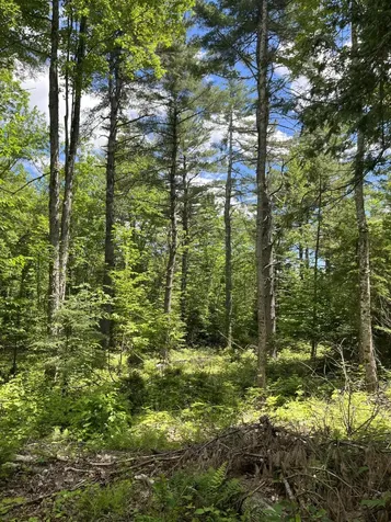 M4L3,5 Fickett Road Etna ME 04434