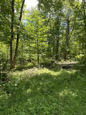 M4L3,5 Fickett Road Etna ME 04434