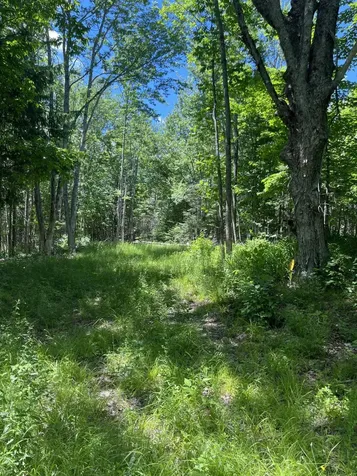 M4L3,5 Fickett Road Etna ME 04434