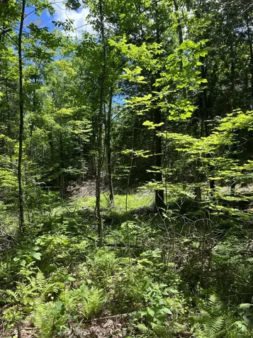 M4L3,5 Fickett Road Etna ME 04434