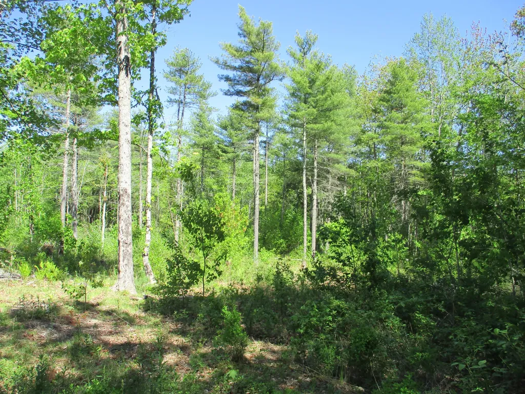 1641 Washington Road Waldoboro ME 04572
