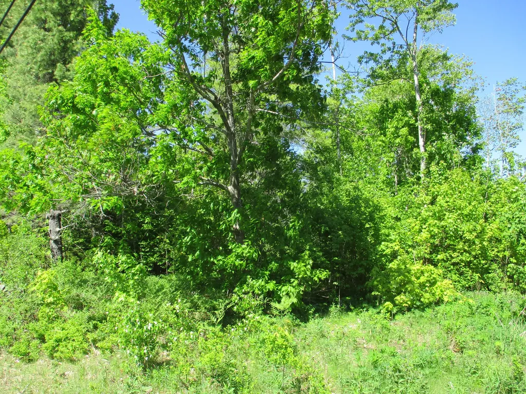 1641 Washington Road Waldoboro ME 04572