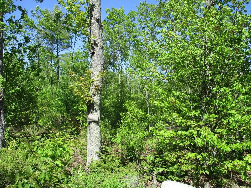 1641 Washington Road Waldoboro ME 04572