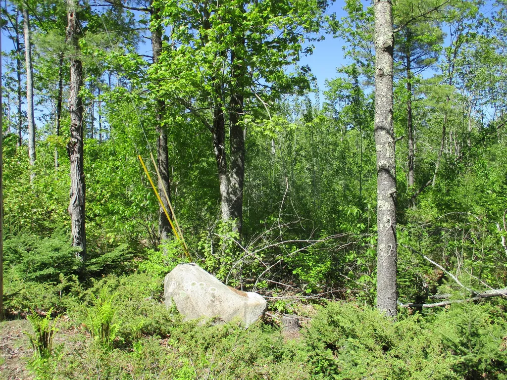 1641 Washington Road Waldoboro ME 04572
