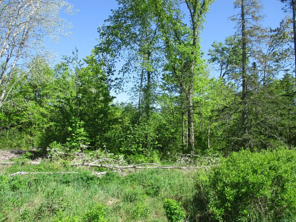 1641 Washington Road Waldoboro ME 04572