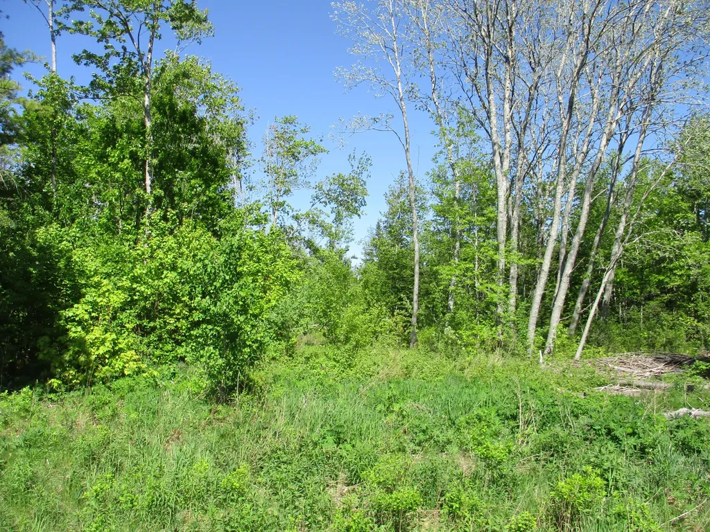 1641 Washington Road Waldoboro ME 04572