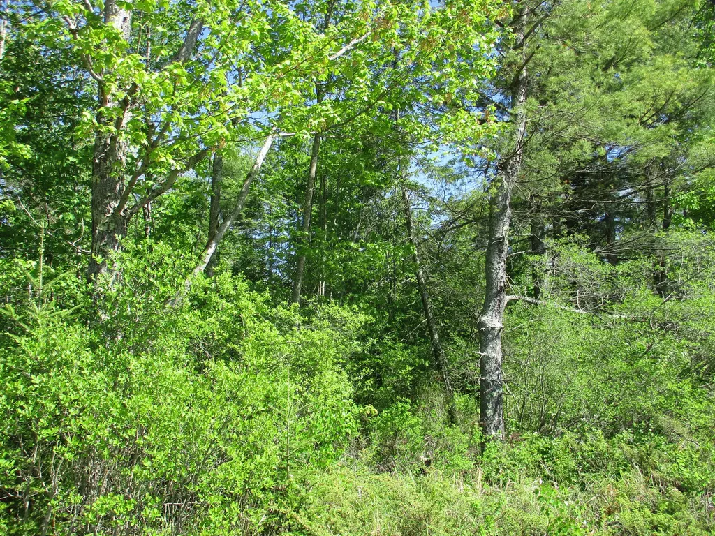 1641 Washington Road Waldoboro ME 04572