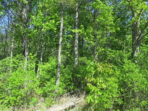 1641 Washington Road Waldoboro ME 04572