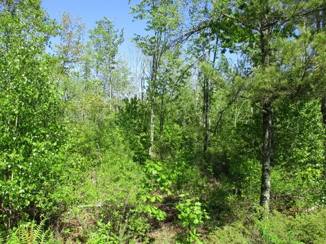 1641 Washington Road Waldoboro ME 04572