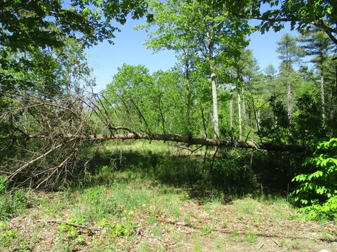 1641 Washington Road Waldoboro ME 04572