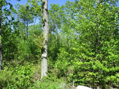 1641 Washington Road Waldoboro ME 04572