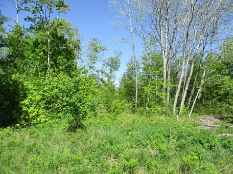 1641 Washington Road Waldoboro ME 04572