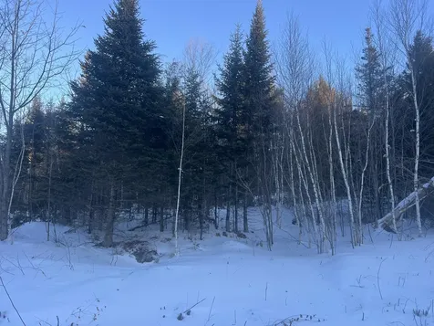 Lot 5 Gentle Ben Road Bethel ME 04217