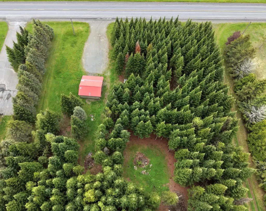 929 Access Highway Limestone ME 04750