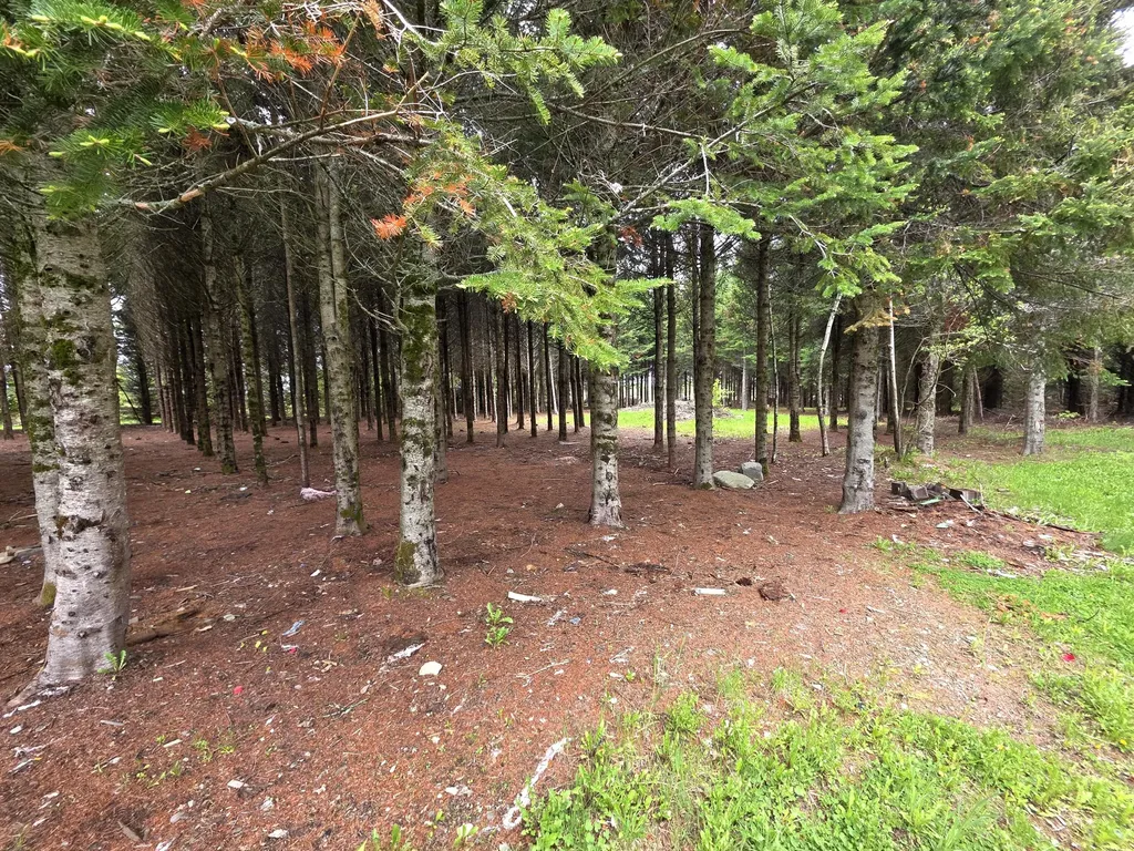929 Access Highway Limestone ME 04750