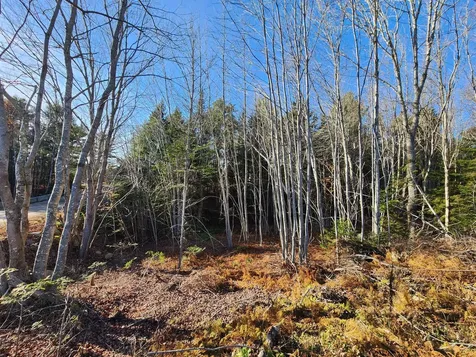 35 Trout Brook Lane Searsport ME 04974