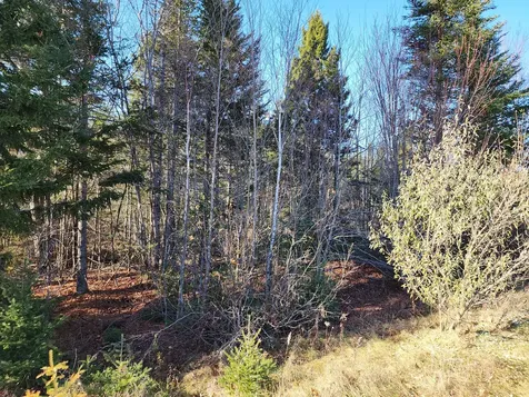 41 Sandy Ridge Lane Searsport ME 04974