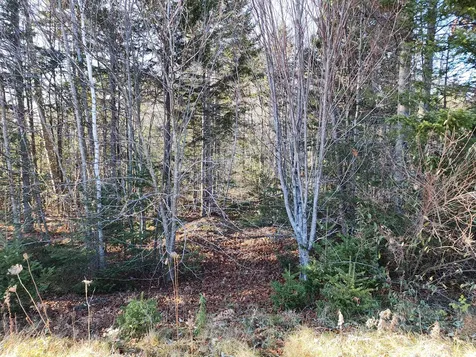 41 Sandy Ridge Lane Searsport ME 04974