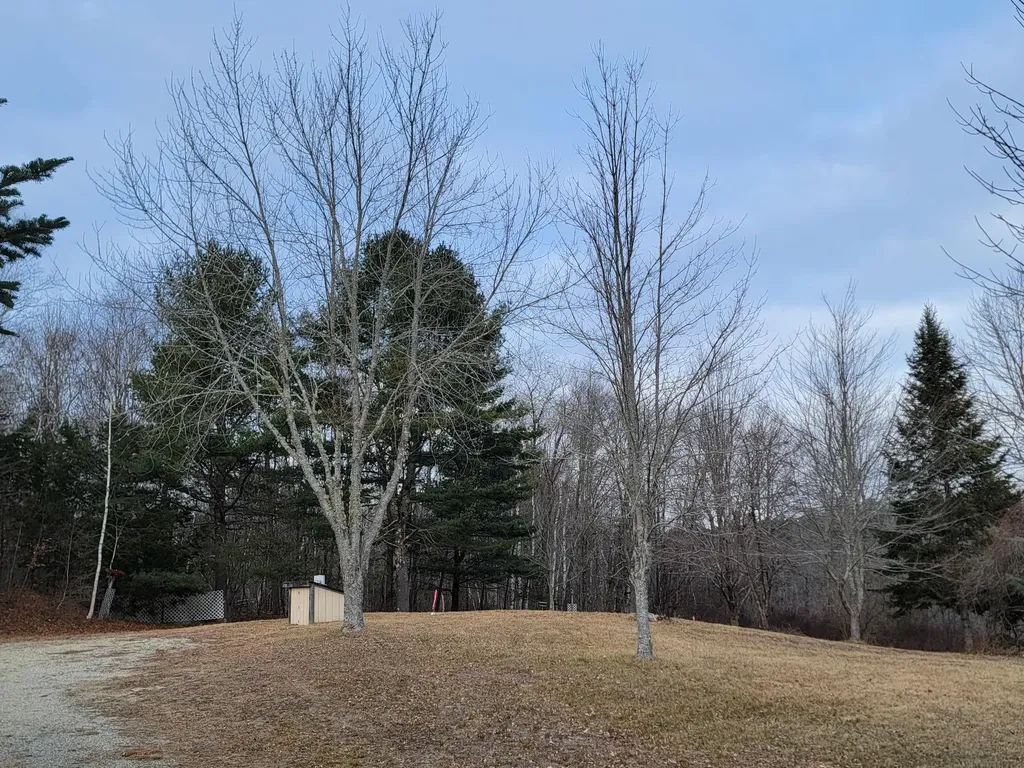 1244 Gary Moore Road Otis ME 04605