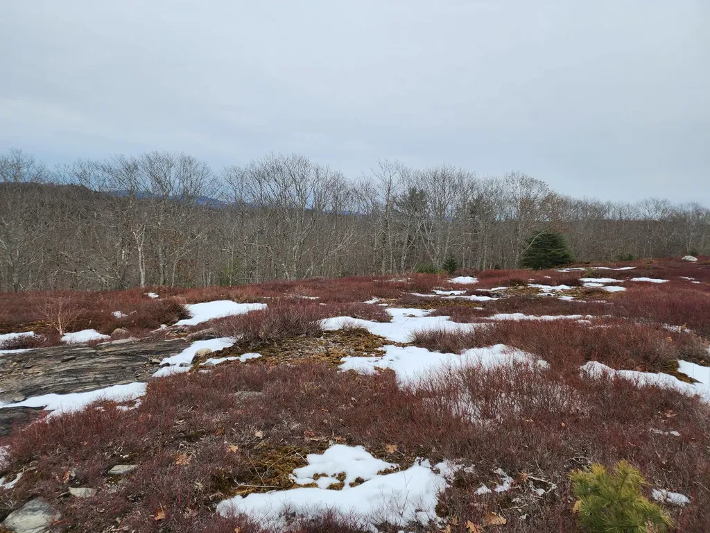 4 Whispering Berries Hill Liberty ME 04949