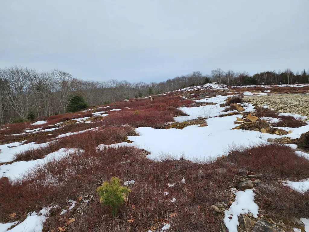 4 Whispering Berries Hill Liberty ME 04949