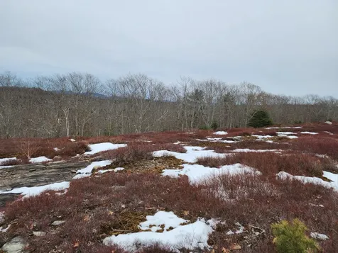 4 Whispering Berries Hill Liberty ME 04949