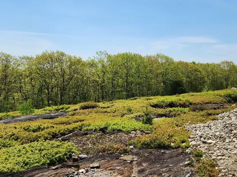 4 Whispering Berries Hill Liberty ME 04949