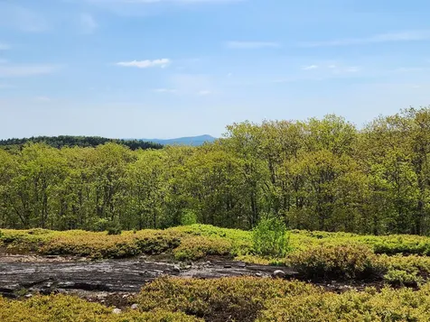 4 Whispering Berries Hill Liberty ME 04949