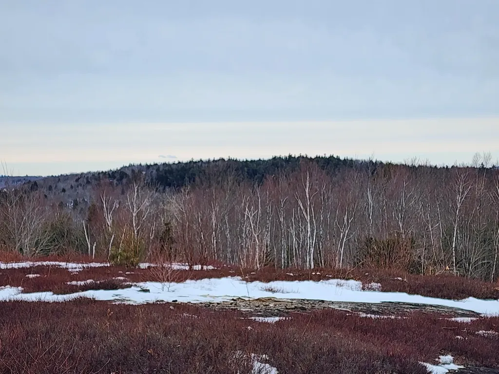 3 Whispering Berries Hill Liberty ME 04949