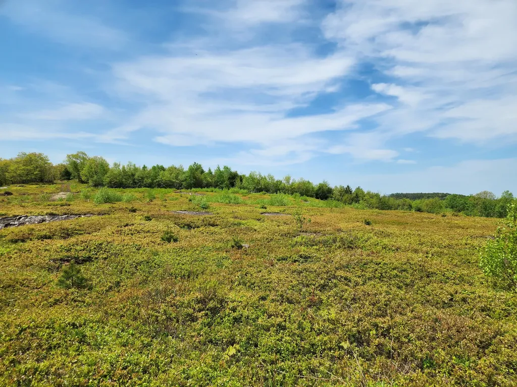 3 Whispering Berries Hill Liberty ME 04949