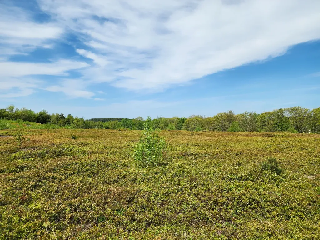 3 Whispering Berries Hill Liberty ME 04949