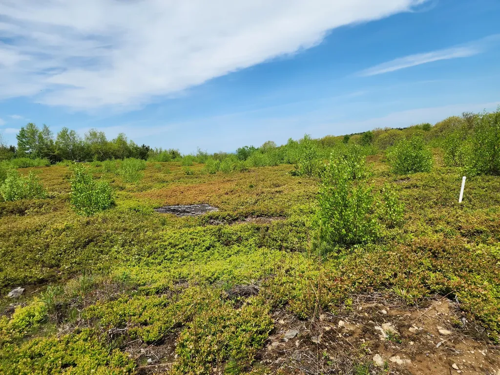 3 Whispering Berries Hill Liberty ME 04949