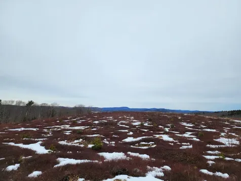 3 Whispering Berries Hill Liberty ME 04949
