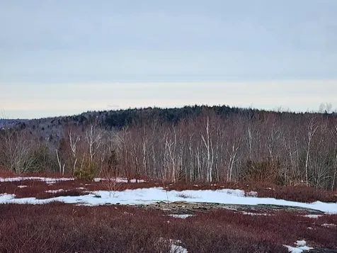 3 Whispering Berries Hill Liberty ME 04949